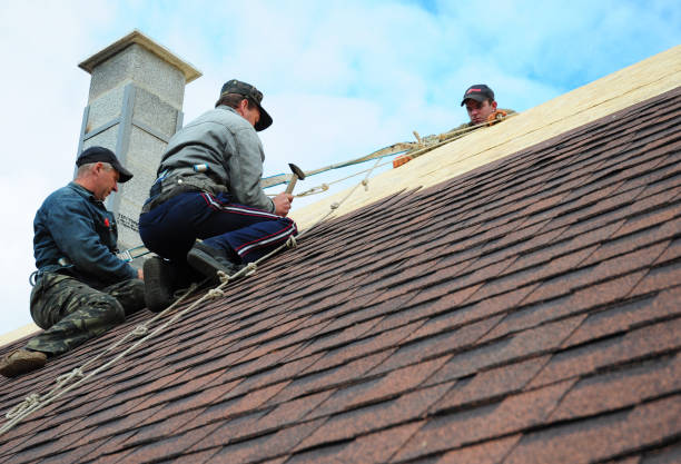 Best Roof Leak Repair  in Decatur, IN